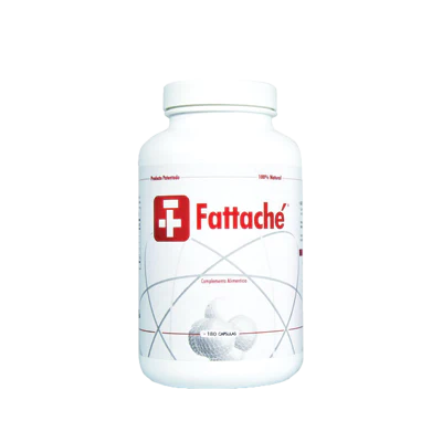 Fattaché: suplemento de quitina y psyllium