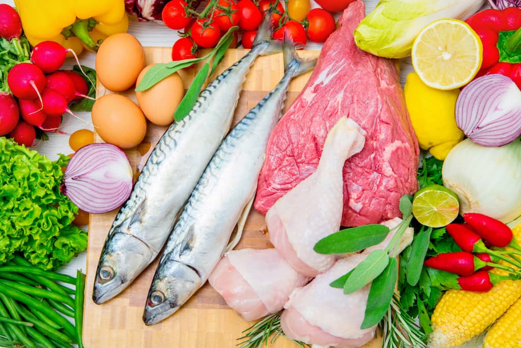 ¡Descubre el poder de la proteína con Fattaché!