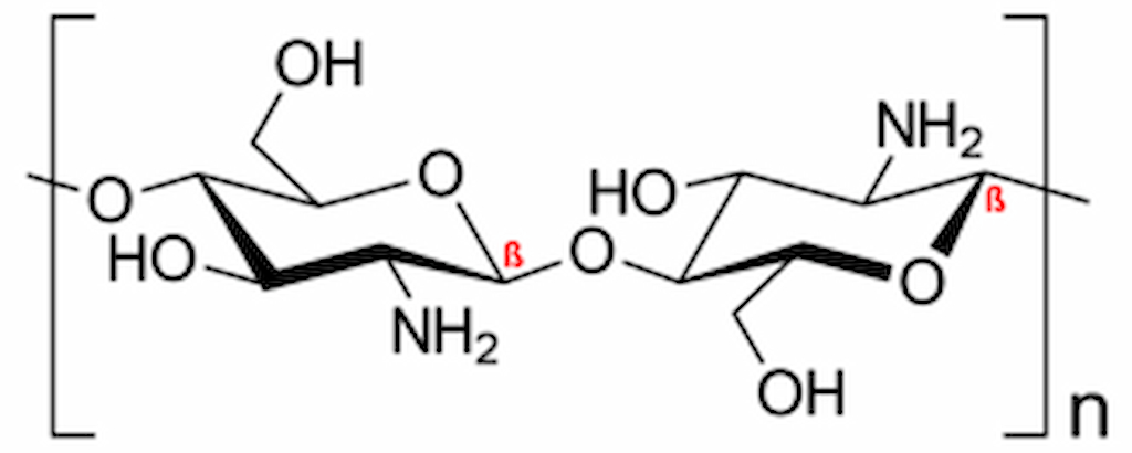 Estructura química de la quitina