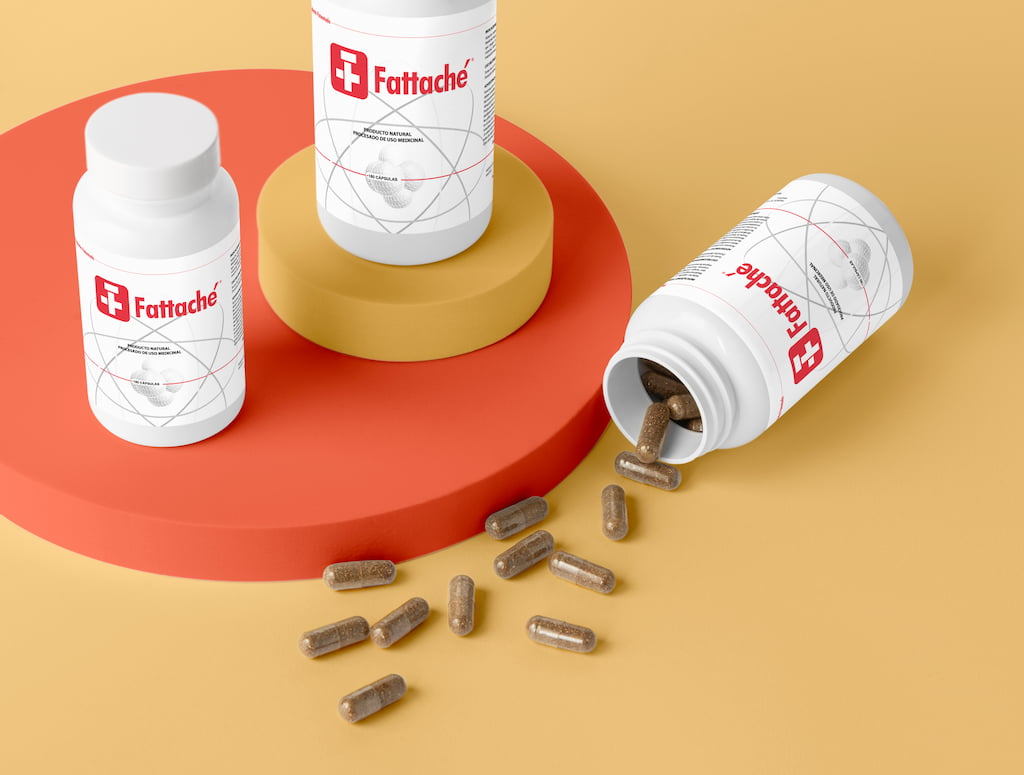 Quitina: ingrediente principal de Fattaché